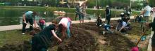 «Лавандовый сад» появился в главном парке Симферополя