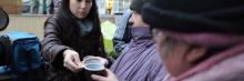 Волонтеры Крыма рассказали когда в Крыму появится первый приют для бездомных